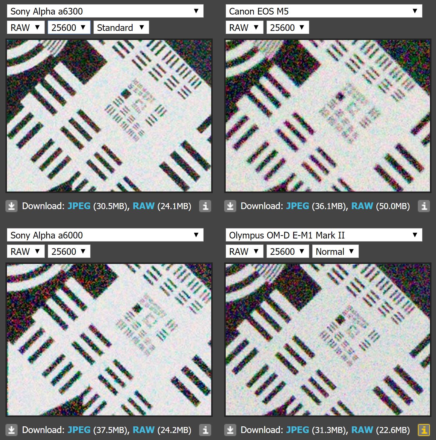 High Iso Comparison Sony A6300 Vs Canon Eos M5 Vs A6000 Vs E M1